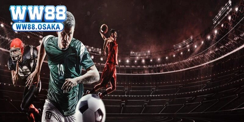 Giới thiệu về sảnh thể thao A-sports