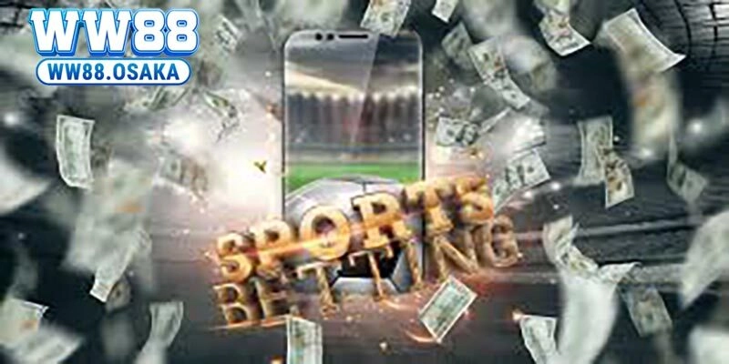 Giới thiệu nét cơ bản về sảnh cược S - sporst của nhà cái 