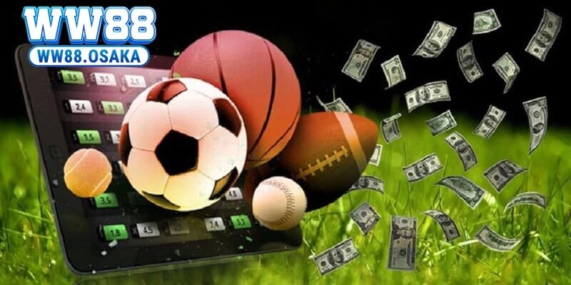 IM Thể Thao WW88 – Cá Cược Thể Thao Uy Tín, Chất Lượng