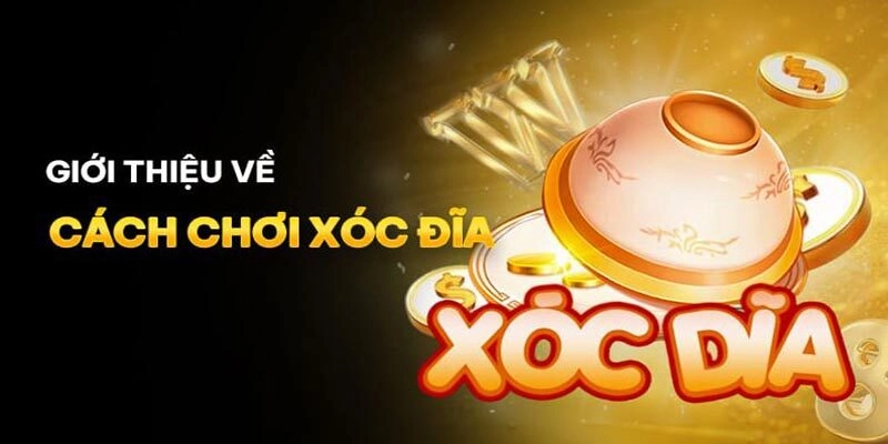 Tổng quan về trò Chơi Xóc Đĩa truyền thống và online