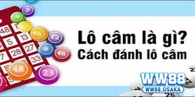 Tìm hiểu một số thông tin cơ bản về lô câm