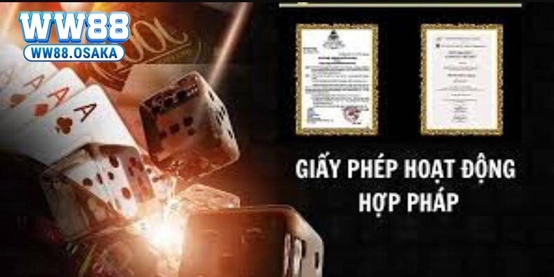 Quy trình cấp giấy phép hoạt động chuyên nghiệp cho nhà cái WW88